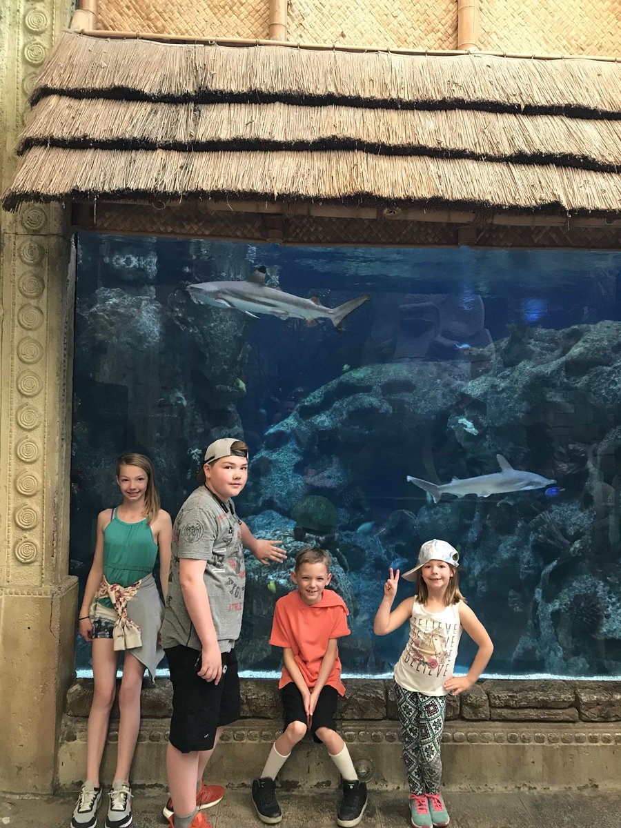 dixinco's tweet photo. Shark reef‼️🐟🦑🐡🐠🐟🐙#SpringBreak2018 #Vegas #SpringBreak @kfedix https://t.co/52HpTK3ahb