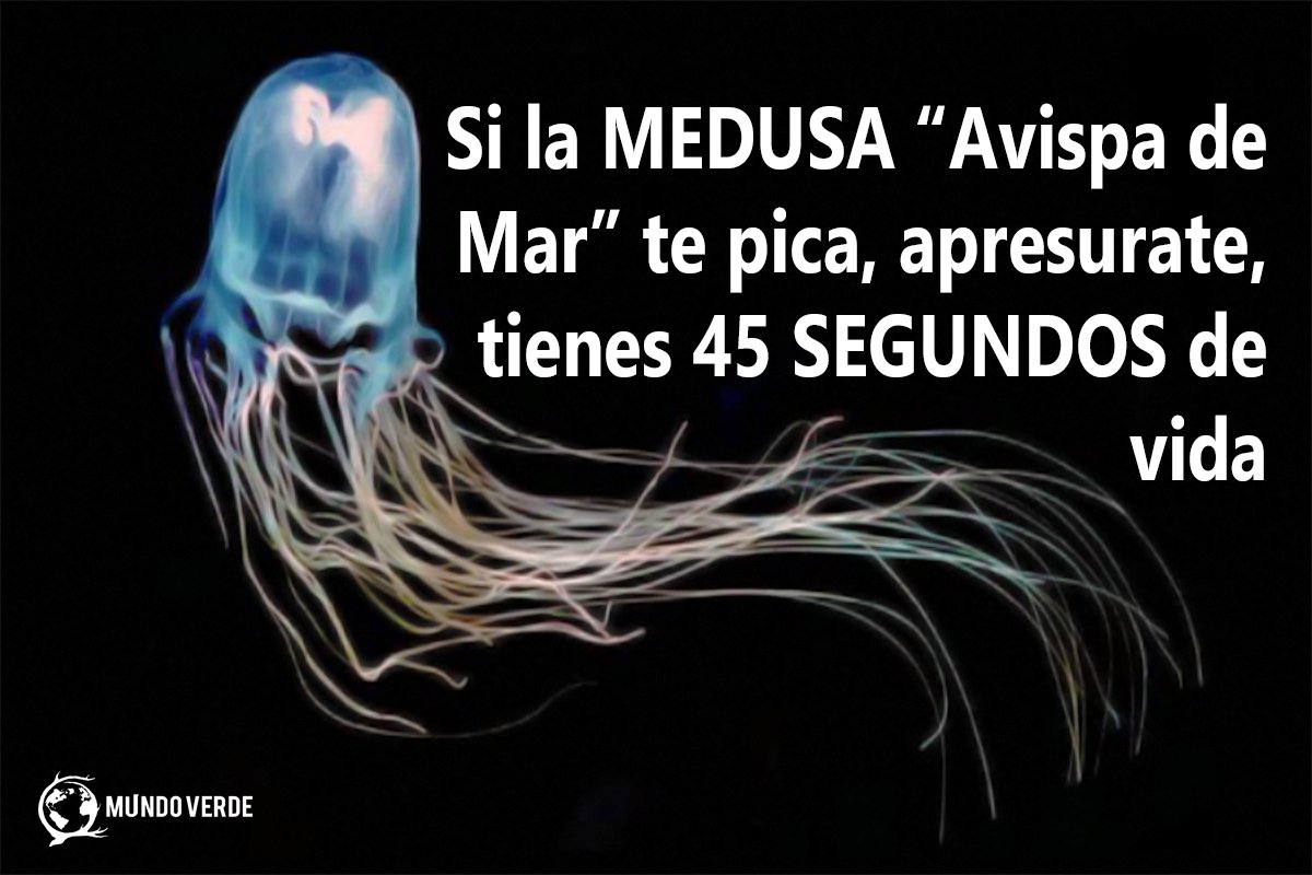 MtyMundo's tweet photo. ¿Qué harías en 45 segundos? - https://t.co/FyMS4mnfAW https://t.co/2fIaG12uIk