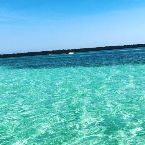TriniTweets's tweet photo. Monday done right #ElliotKey #BiscayneNationalPark #Miami (at... https://t.co/nMDHQK1qes https://t.co/6k7cf3IvSM
