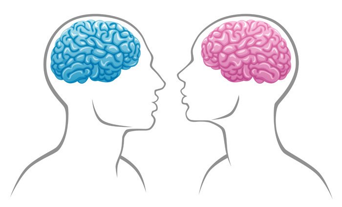 Do brain differences interfere with performance of women in tech?  Read this and be ready to answer.  bit.ly/2IS3osi