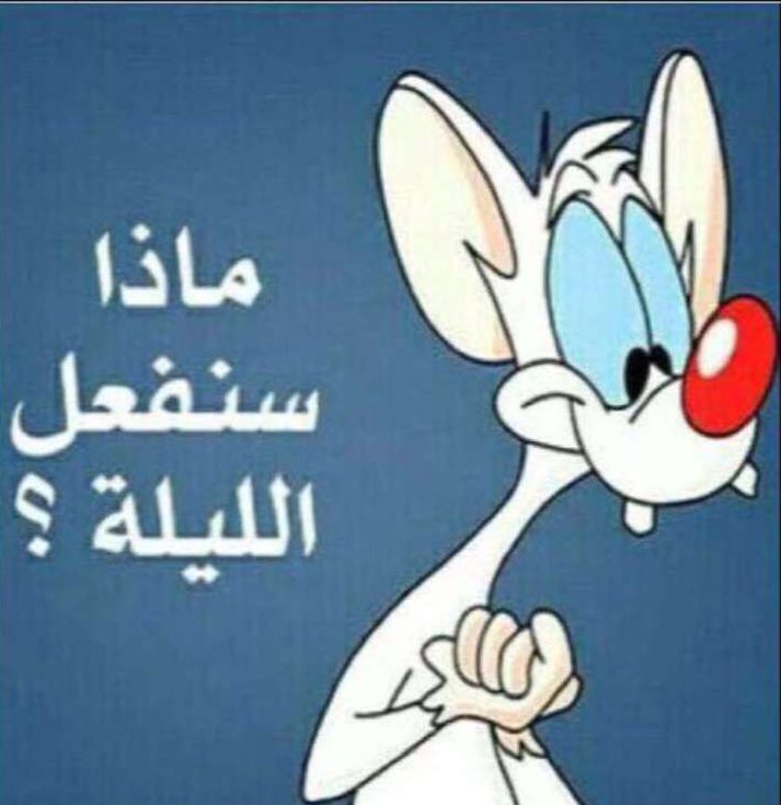 صباح الخير 😂🤘🏻