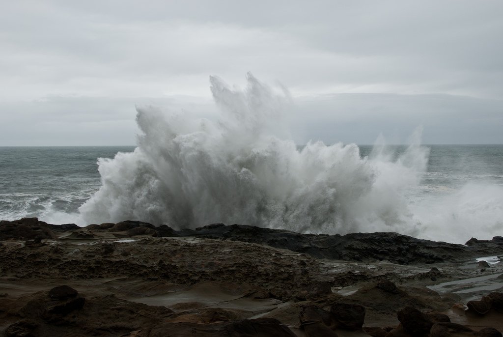 OregonSeaGrant's tweet image. Data Call! Oregon’s Ocean Policy Advisory Council (OPAC) and other governmental and NGO agencies are seeking relevant data to help with the update of the Rocky Shores Management Strategy. Details: bit.ly/2IQDBAN