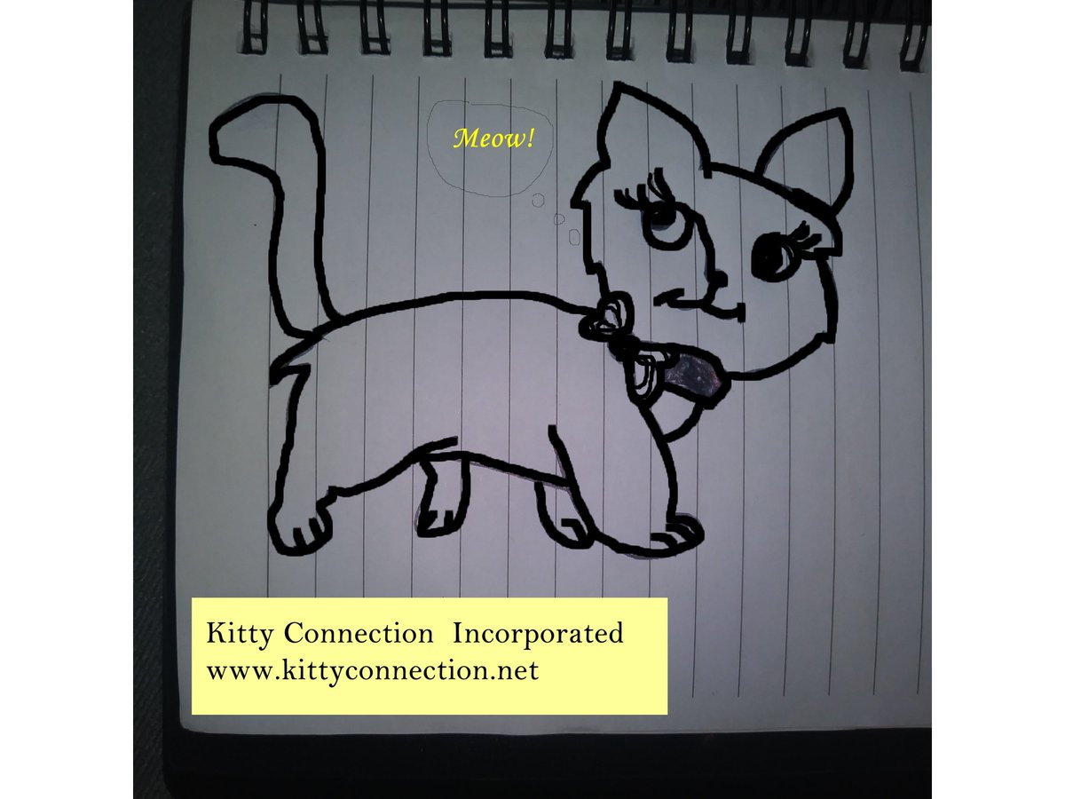 KittyConnection's tweet image. Kitty Connection invites you to take a visit to its website, kittyconnection.net #MeowMonday