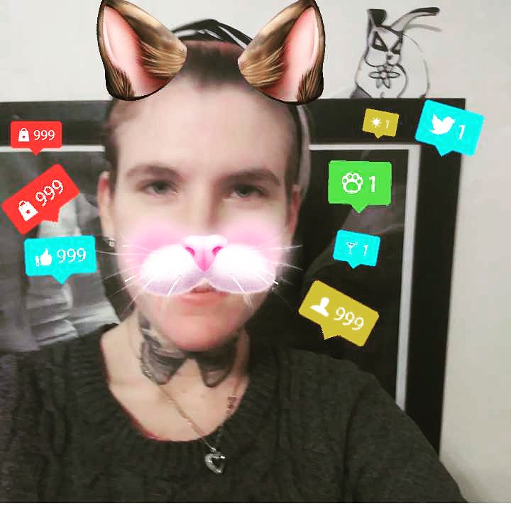 KittyConnection's tweet image. Spring is here! Run, gallop, hop, jump, or waddle over to Kitty Connection's website to keep cats in Massachusetts warm. kittyconnection.net @usuallyitskeren #volunteersrock