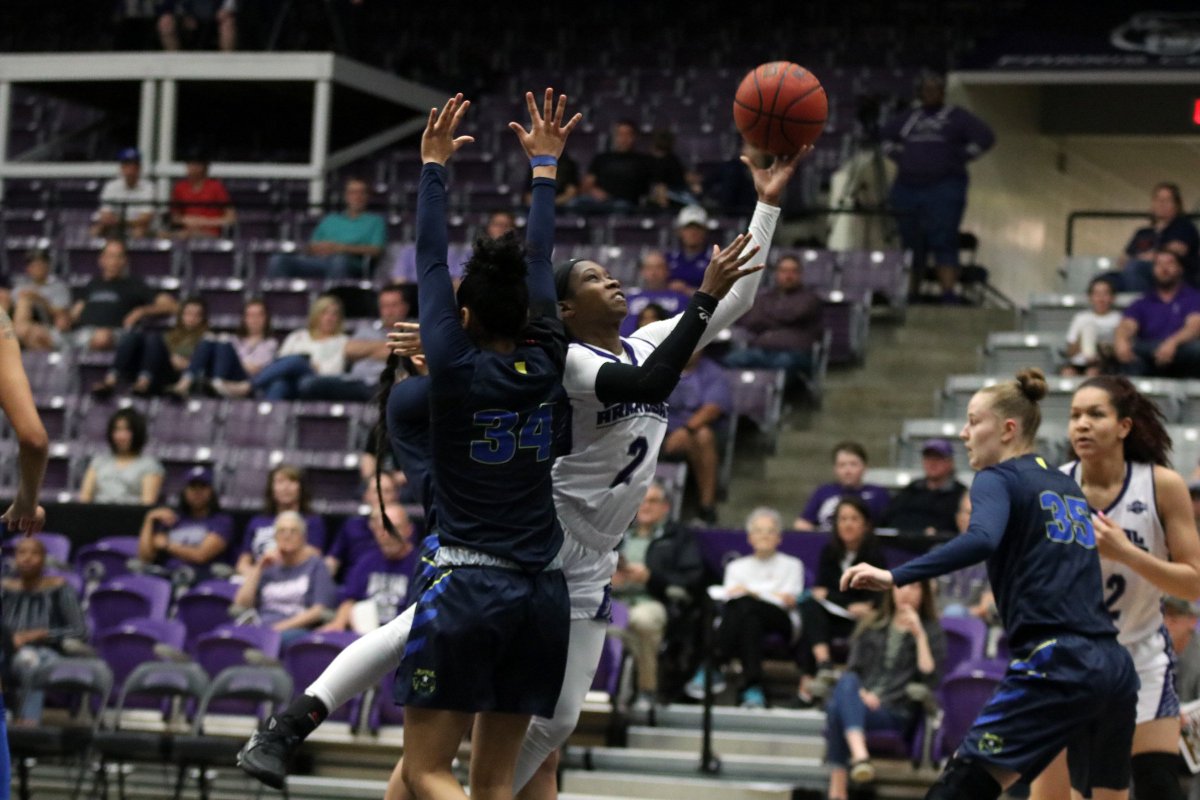 A harvest for Sugar Bears