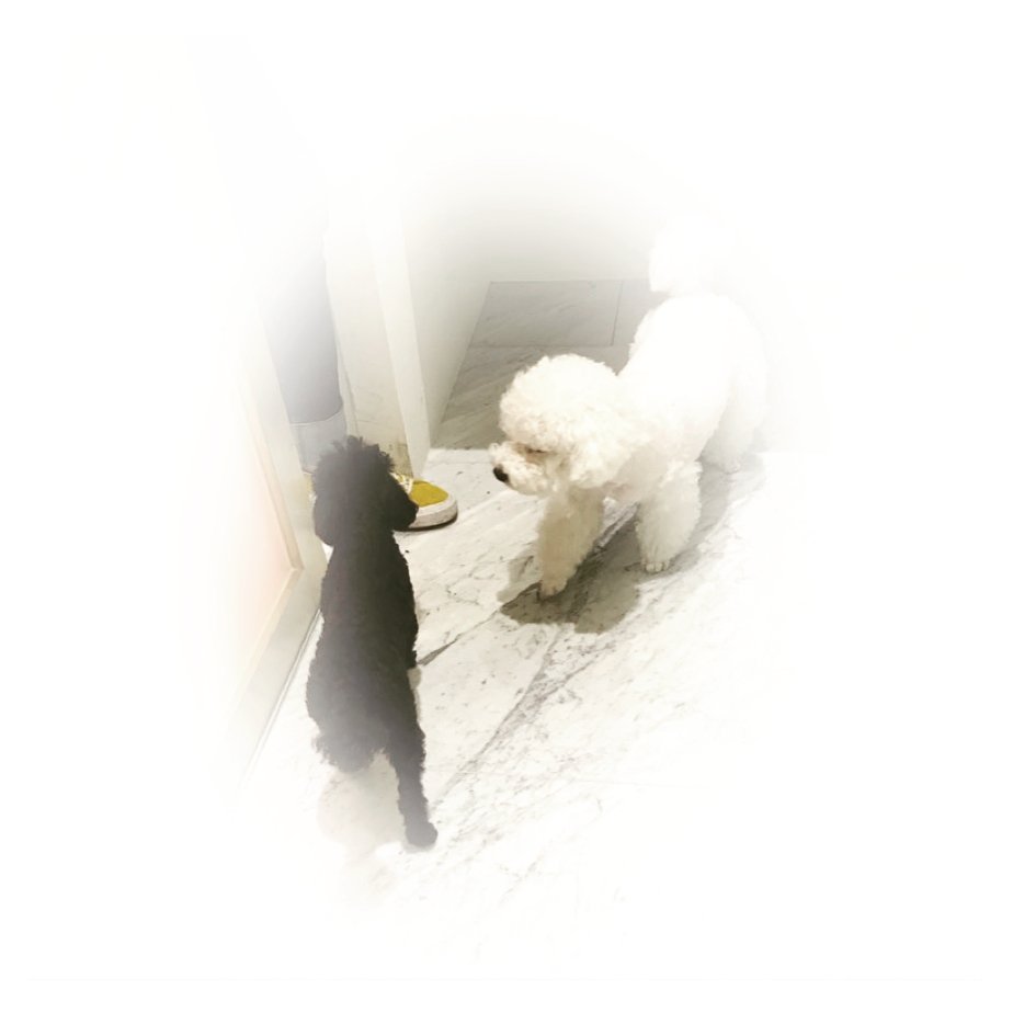 จะฟอลอซอ.จนกว่าเซฮุนจะเลิกใช้เครื่องคิดเลขถ่ายรูป! tweet media