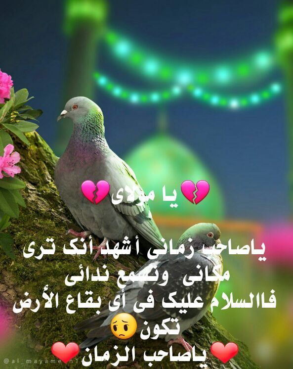 اللهم في كل صباح امنحهم السعادة
والطمأنينة وارزقهم قلوبا نقية مملوءة بمحبتك يا الله ❤
🎋صبحكم الله بالخير♦️كلما اشتقت لسماع صوتك 
قلت:السلام عليك ياصاحب الزمان❤️
ولأني علمت بان رد السلام واجب 
ولابد أنك ترد السلام يامولاي
اللهم_عجل_لوليك_الفرج 

🌹 صباحكم_مهدوي🌹