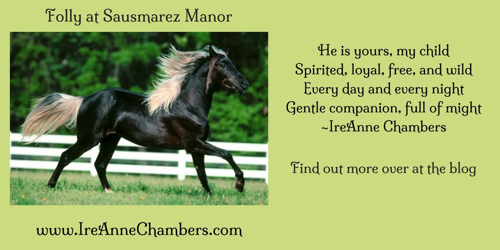 IreAnne's tweet photo. Finding #Aladdin😉 What's in a Name? Find out on the #blog
https://t.co/8PstLkfKeU
Get my #free #shortstory
#Guernsey #formyreaders #horses #booktube #poetry #historical #histfic #regencyromance #janeaustenfans #sausmarez #read #goodreads #regencyromance #arabian #CR4U https://t.co/iz0Gm0Hgzh