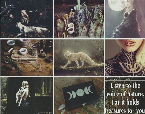 "The sun watches what i do, but the moon know's all my secrets..." 

}~ Herbalist she-wolf for the #ForestPack - @TheHowlingWind.
}~ Detailed and grammatical, 21+
}~ Omega, FC - Teya Salat. 

}~ Writer tag - #Felan.

}~ Re-Tweets are welcome!