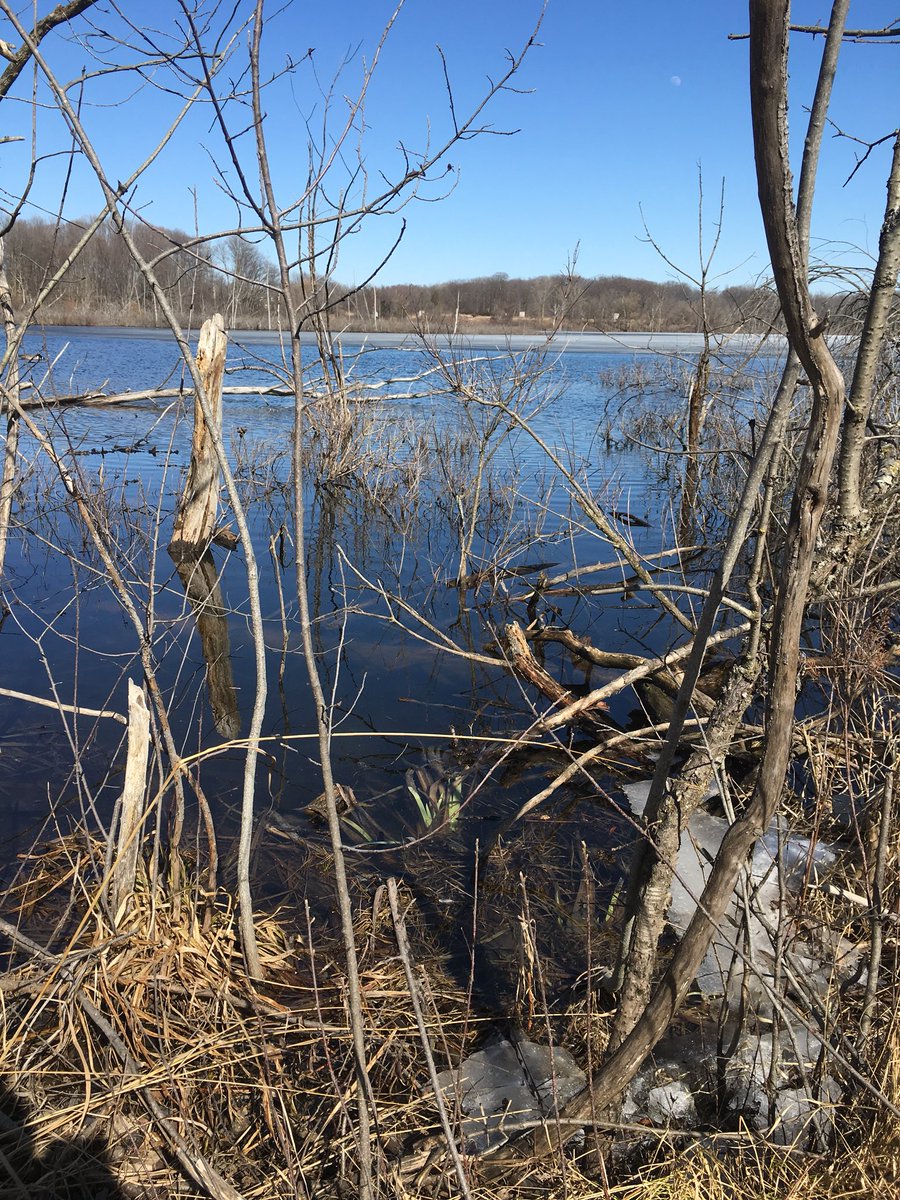 dogsanut's tweet photo. Enjoyed running 41k today. Made it out to afew different spots and 1 that I’ve been wanting to run for a while. #100miletraining #off2agoodstart https://t.co/5BsFR75Wd7