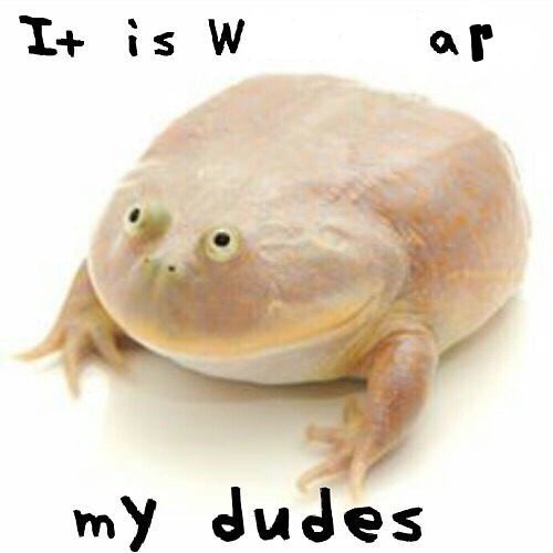 One Gone Thus tweet media