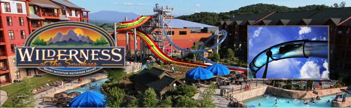 The 2018 TAMS Summer Conference is back at the Wilderness of the Smokies this year from June 4th-6th.

Online and/or Mail registration is available at tams.net

We are saving you a seat and can't wait to see you there!