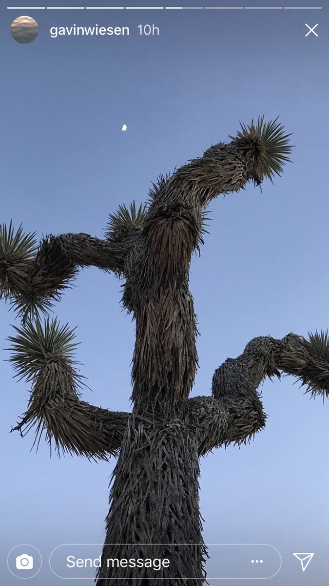I need to share with you this photo from my friend Gavin’s Insta story that depicts one of those car dealership blowy guys who got turned into a Groot.