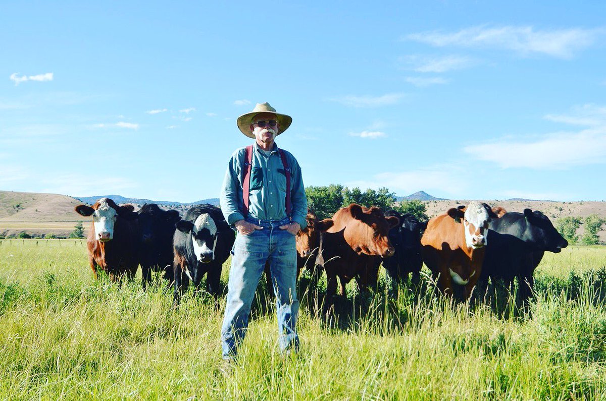 Country Natural Beef tweet media