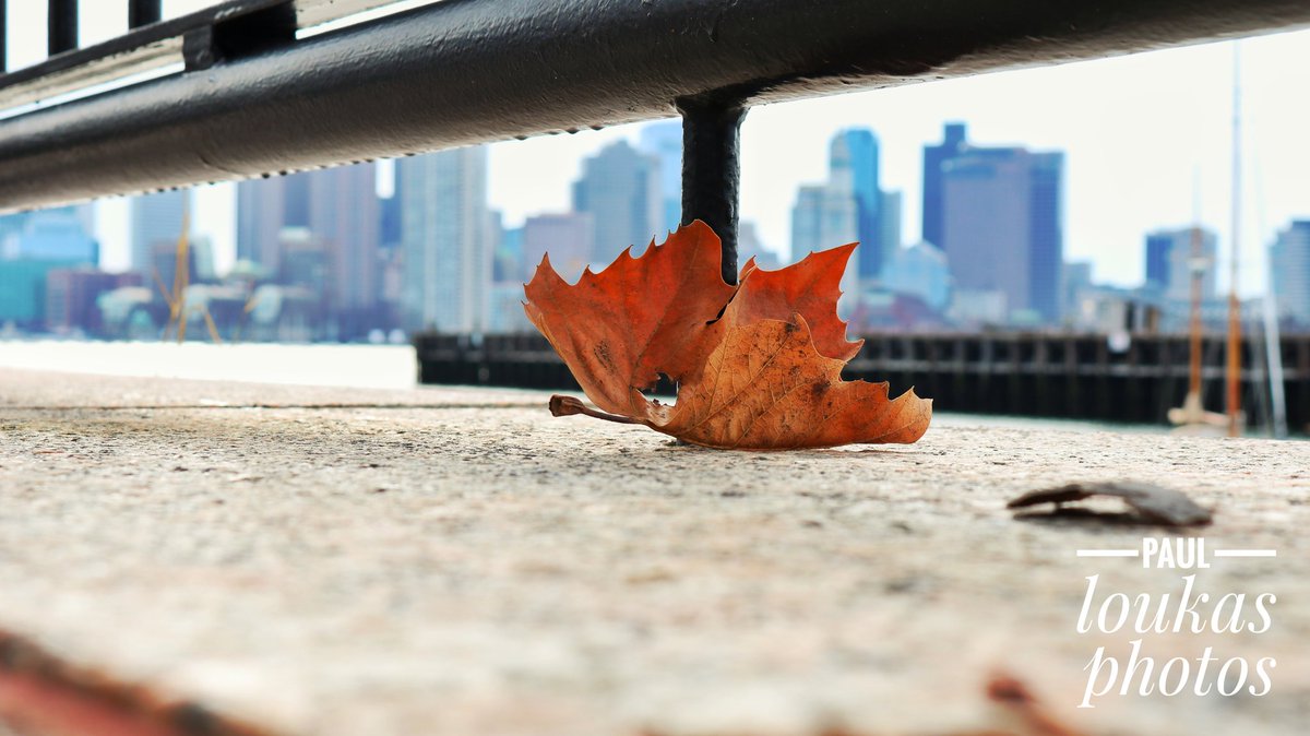 I think this is my best work 

Paul loukas