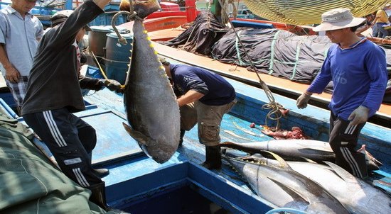 Hanoitimes2's tweet photo. Vietnam takes drastic measures in fighting against IUU fishing #Vietnam #IUU #fishing #EU #trade #cooperation #EVFTA #VASEP
https://t.co/Qaf8YQliLG https://t.co/d4xcd6YD30