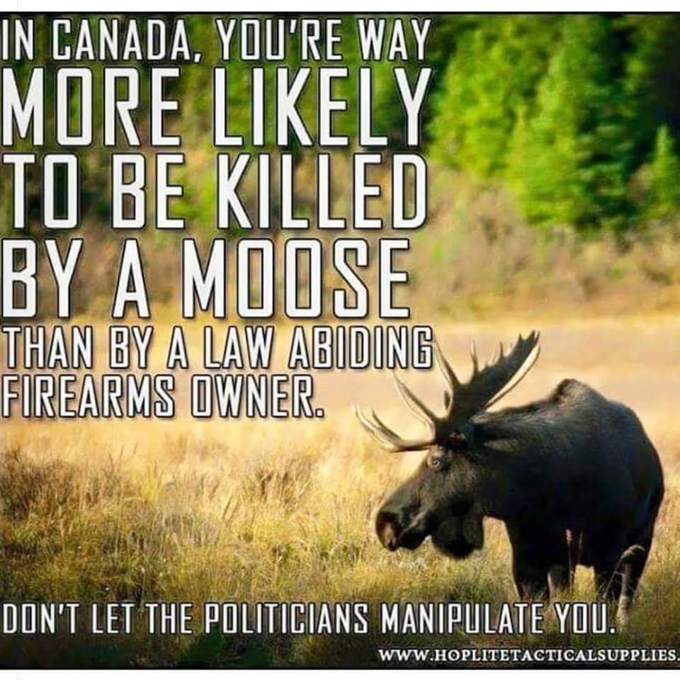 Astrid K tweet media