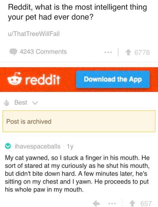 HAHAHAHAHA

I can't stop rereading this and laughing
