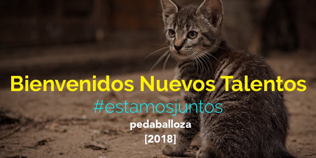 pedaballoza's tweet photo. Bienvenidos!!!! Pedaballoza 2018 https://t.co/NmXF2EhF9n