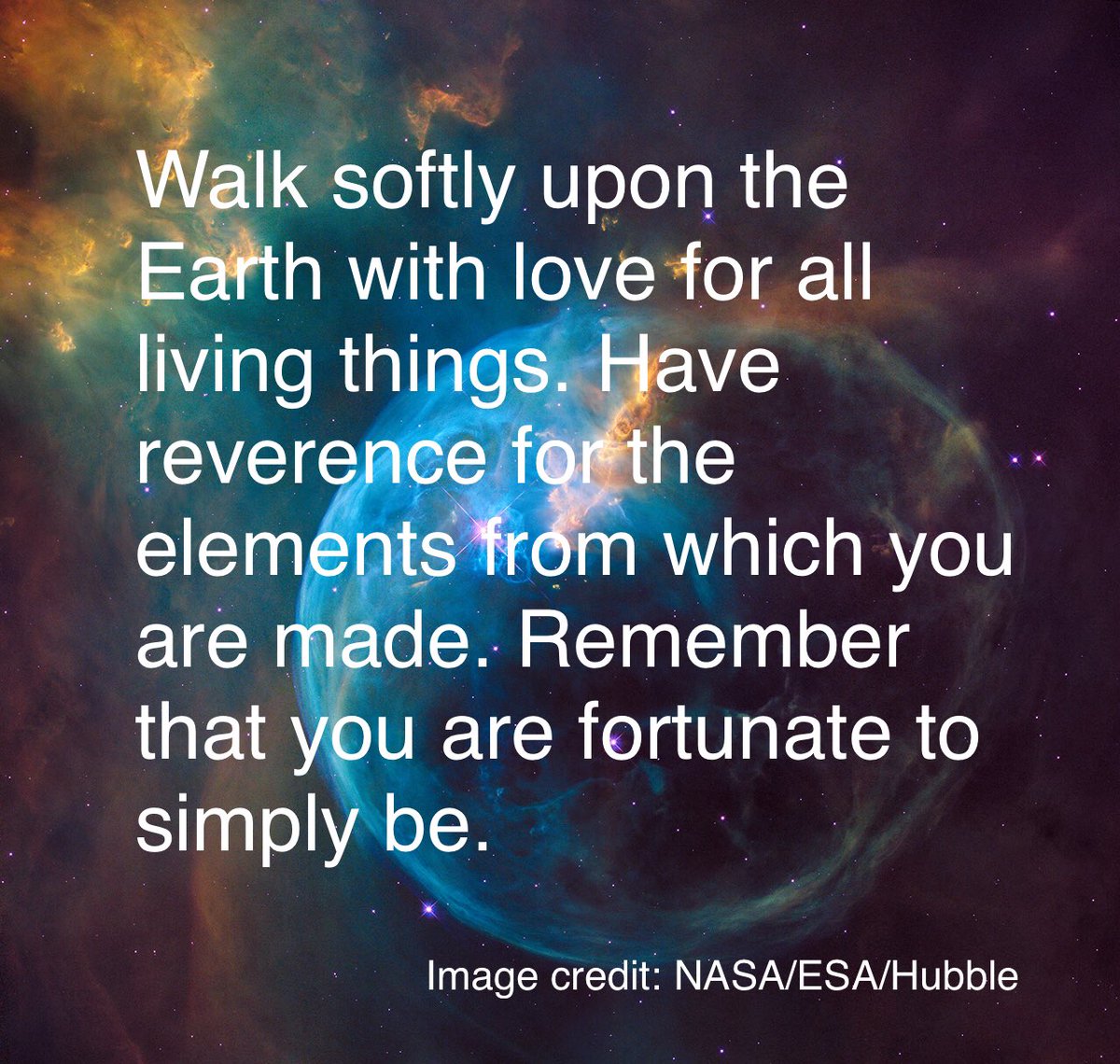 PC Butter Bread tweet media