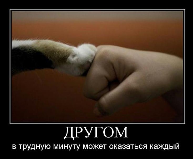 Открытки в поддержку другу