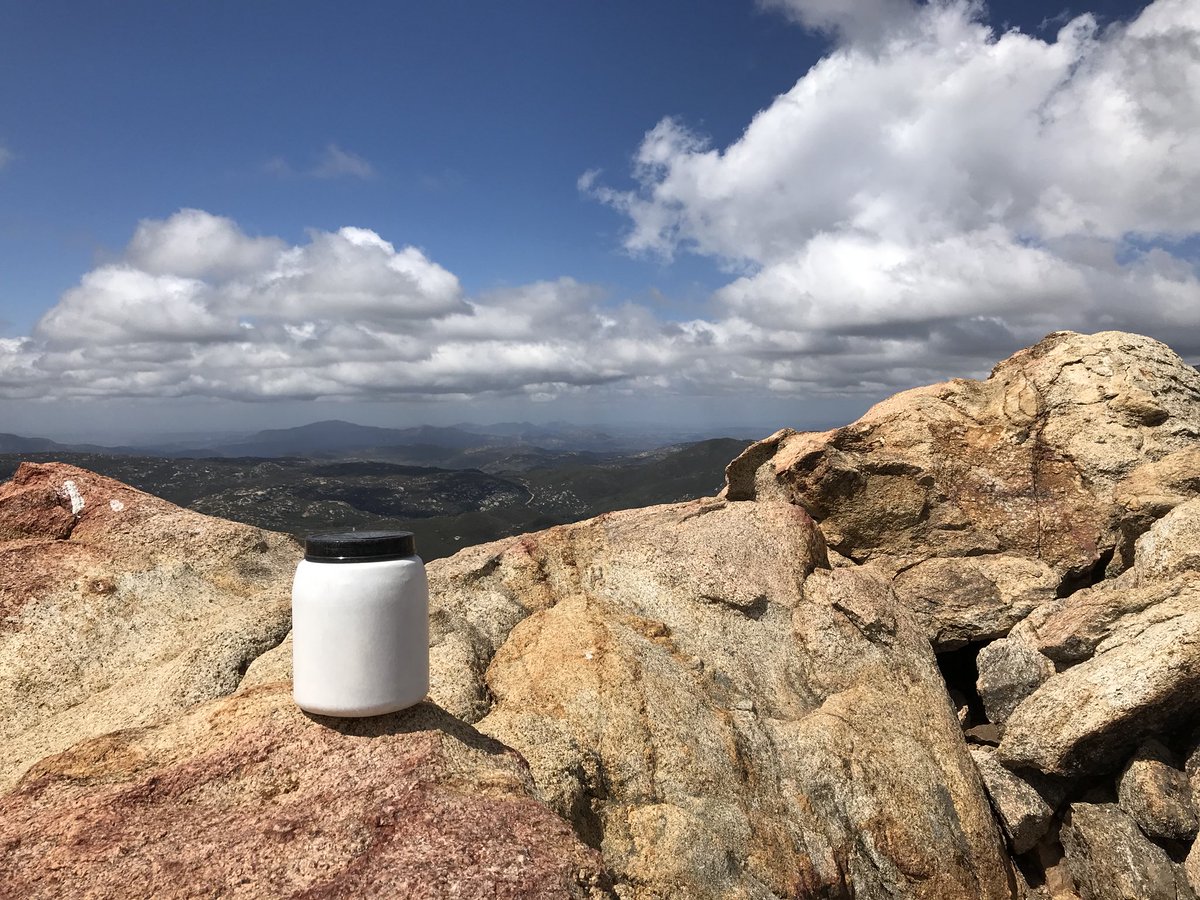 Roaming Relic tweet media