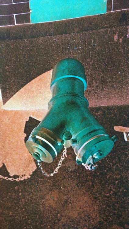 rcates2's tweet image. SORTING BEARS -HOW IMPORTANT? Story by Ray Cates
brazilblue.wordpress.com
#SupplyWithinUnreasonableDemands 
#WorkerManagement #SchoolSolution