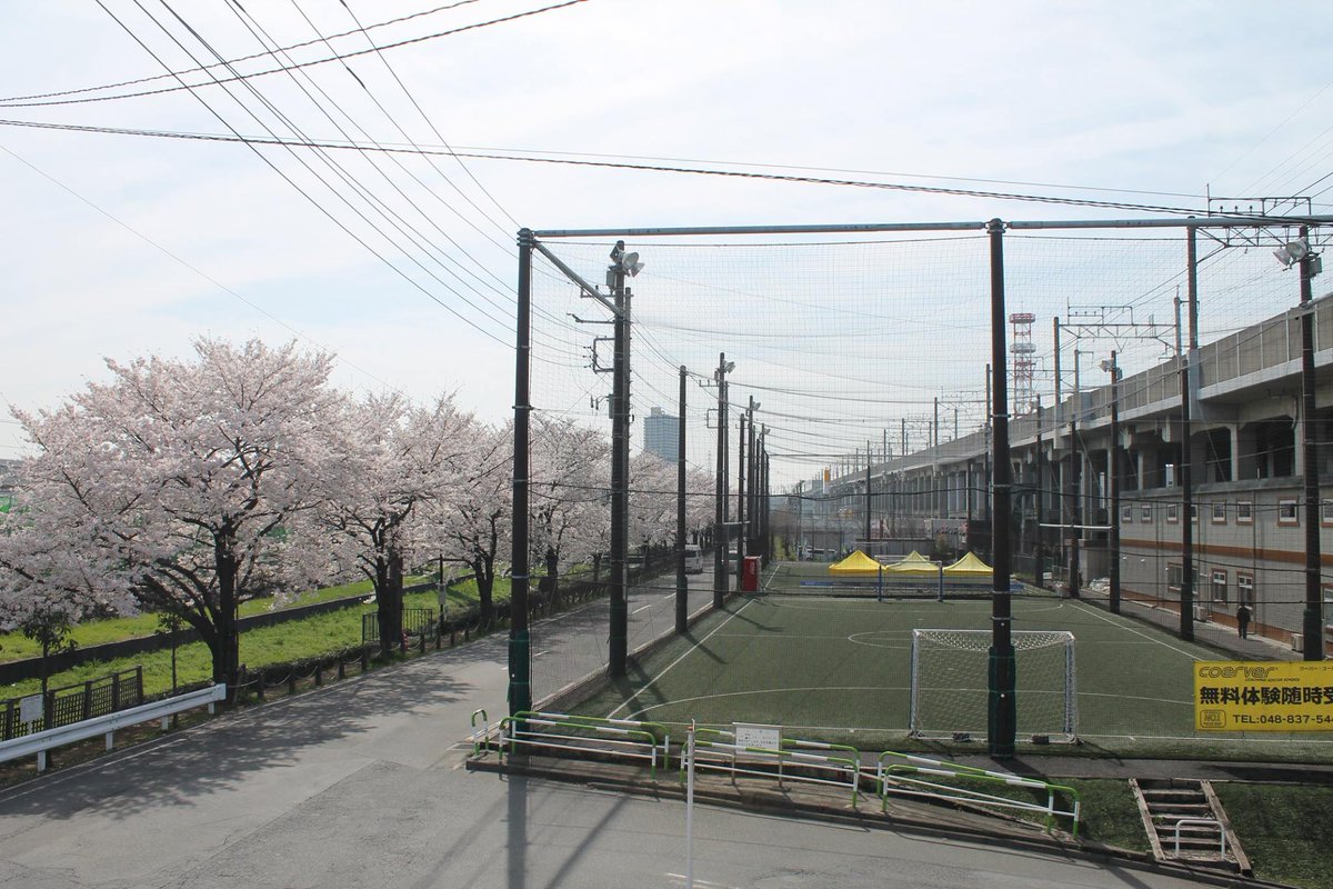 CoerverAP's tweet image. Spring is here at the Coerver Academy of Coaching JAPAN 🌸🌸🌸#Coerver