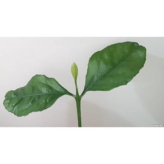 conceptiasis's tweet image. ift.tt/2pKexU4