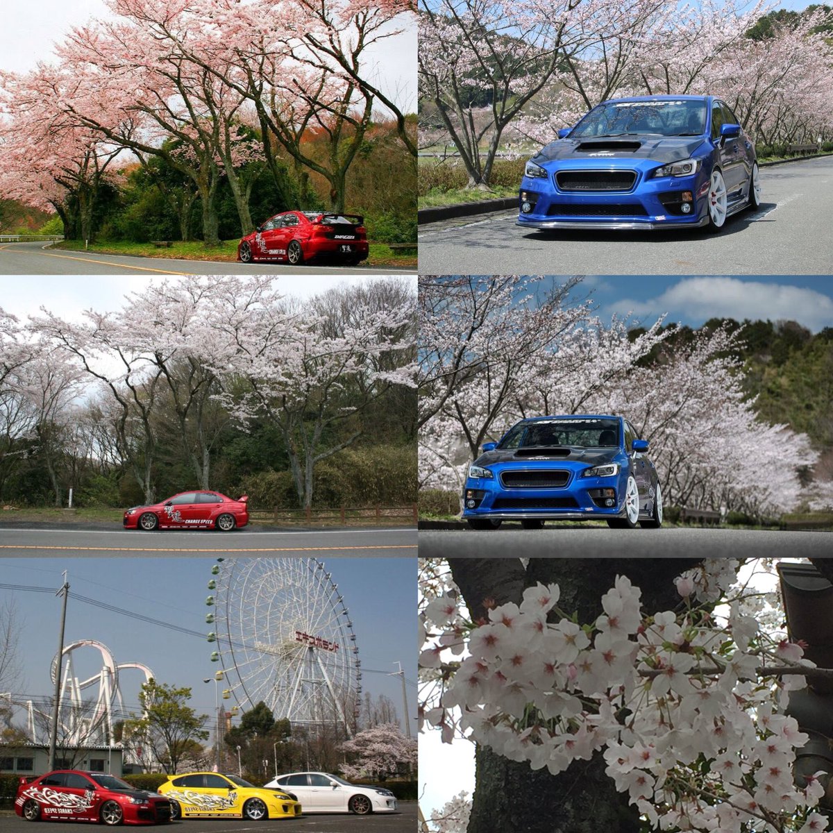 gekisoku_charge's tweet photo. 桜🌸満開宣言！

#chargespeedbottomline #gekisoku #chargespeedjapan 
#Chargespeed #workwheels #cherryblossom https://t.co/PKdNdgttYJ