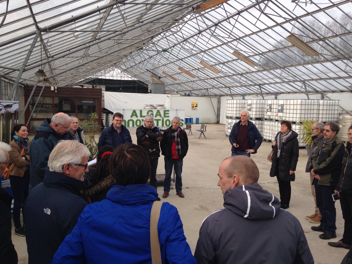 Bedrijfsbezoek met Wellant en Inholland docenten bij Algae Innovations in Rijssenhout.