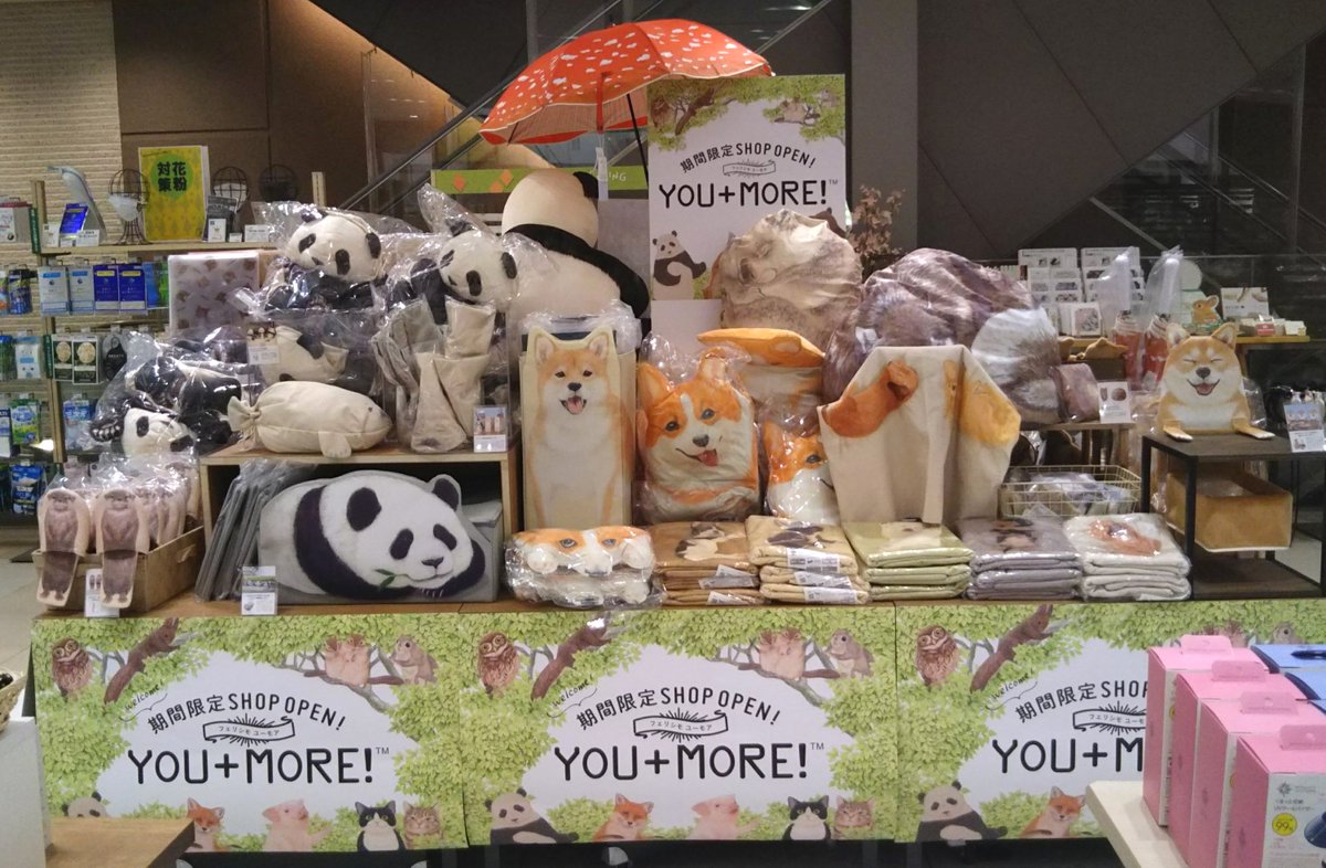 You More 東急ハンズ銀座店ショップopen 期間 3 26 月 4 15 日 開催場所 東急ハンズ銀座店 5f 営業時間 10 00 21 00 うさぎ 柴犬 パンダ 小鳥など 春のギフトにぴったりの商品がたくさん ぜひお立ち寄りください 3月の You More 東急ハンズ銀座店ショップopen 期間 3 26 月 4 15 日 開催場所 東急ハンズ銀座店 5f 営業時間 10 00 21 00 うさぎ 柴犬 パンダ 小鳥など 春のギフトにぴったりの商品がたくさん ぜひお立ち寄りください 3月の