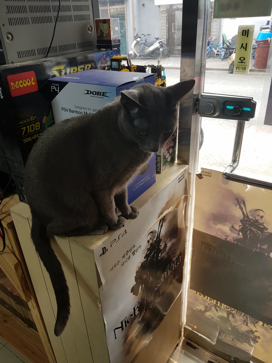 dominicrfani's tweet image. 80년대 콘솔부터 관심 있으신 분들은 꼭 한번 가보시길 추천하는 곳입니다. 이수역 10번출구 근처 몬스터만물상.
주인장께서 직접 몸소 중고거래를 손으로 발로 뛰시는 곳. 8비트 패미콤 팩부터 존재하는데 가격도 저렴합니다. 들어가면 고양이가 반겨주기도 하구요.