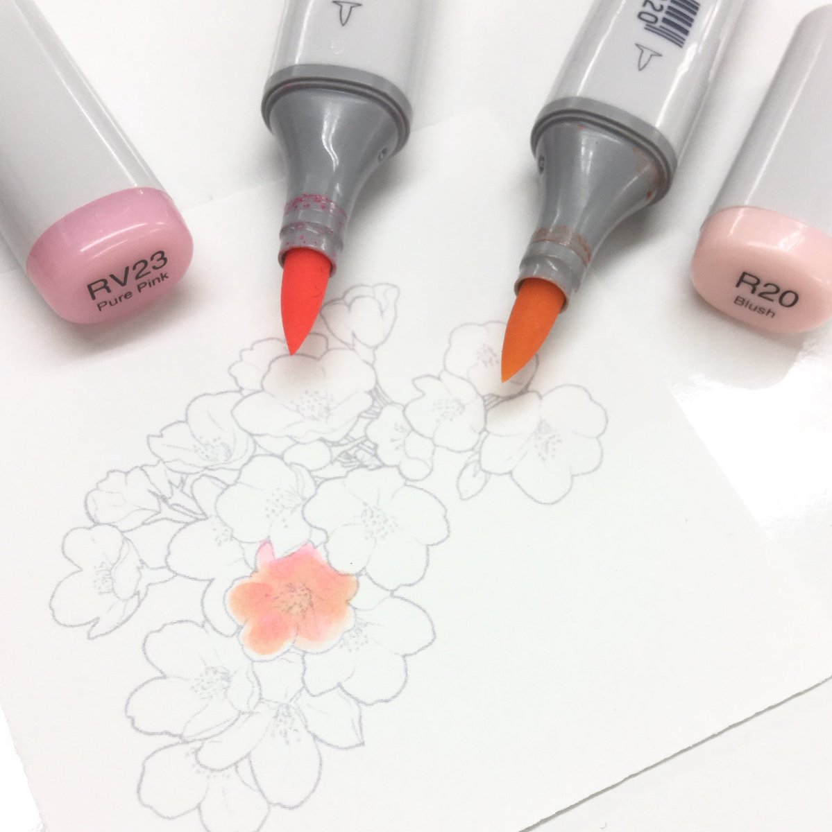 コピック公式 Copic Official 東京は桜が満開です ということで 桜のぬり絵に使えそうな色を紹介します Rをラフに塗って あえて白地を残したり 乾ききらないうちにrv21で中心を少しぼかします 更に少しだけrv23を差し色に使い Rでぼかせば