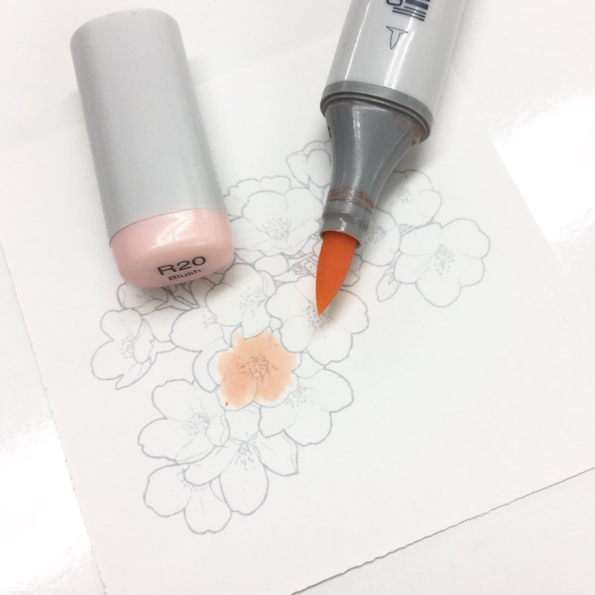 コピック公式 Copic Official 東京は桜が満開です ということで 桜のぬり絵に使えそうな色を紹介します Rをラフに塗って あえて白地を残したり 乾ききらないうちにrv21で中心を少しぼかします 更に少しだけrv23を差し色に使い Rでぼかせば