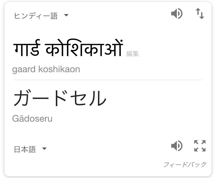 自分の名前をヒンディー語で再翻訳してその名前で1日過ごす