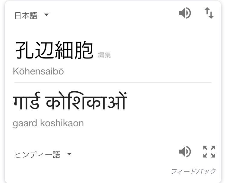 自分の名前をヒンディー語で再翻訳してその名前で1日過ごす