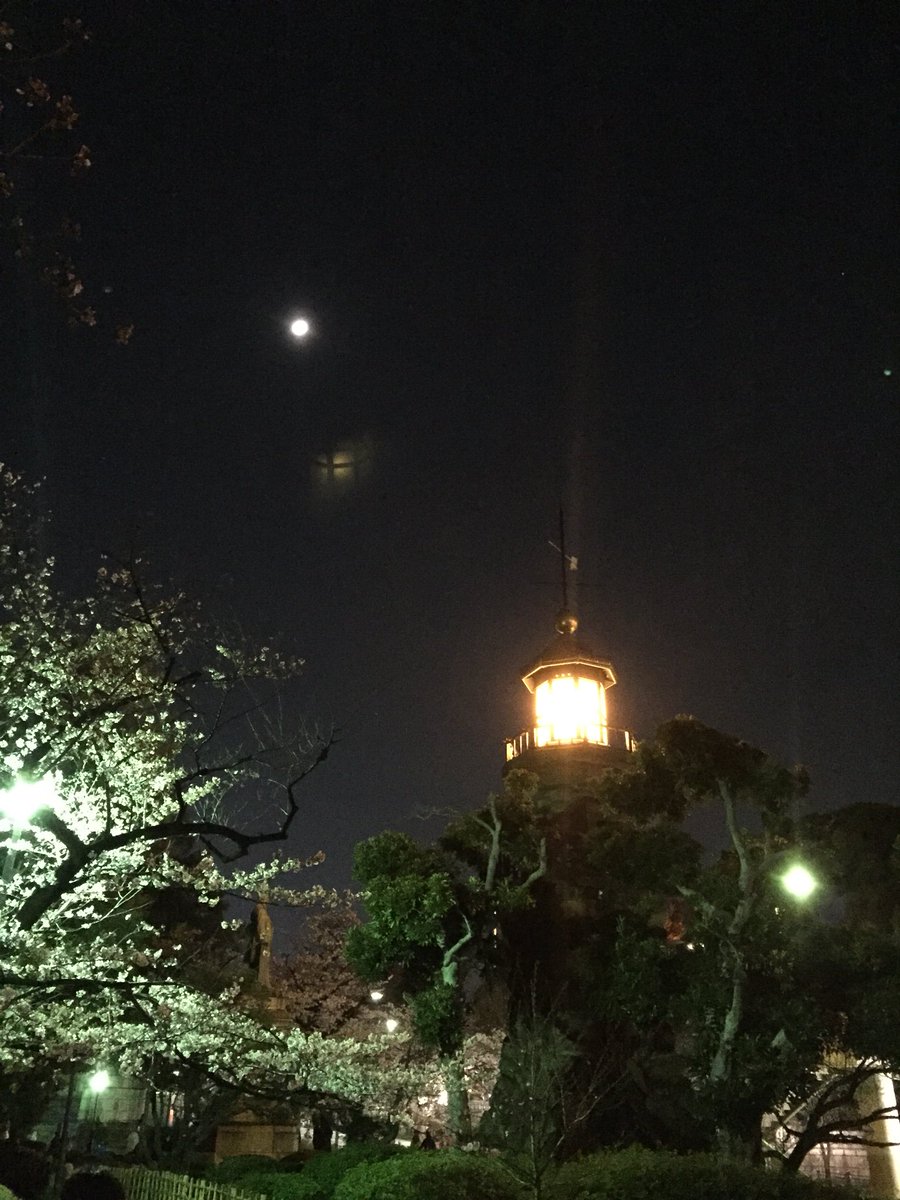 intothesky007's tweet photo. 日本の夜桜^ ^ https://t.co/aRWhfLEfmh