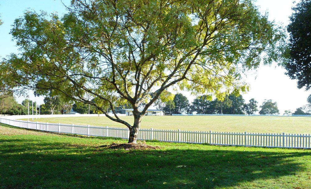 Polvin_Fencing's tweet photo. What's better than a #whitepicketfence? A white picket fence that never needs painting, and is super low maintenance! That's why councils nationwide are opting to install our PVC fencing at their sporting ovals and parks. #polvinfencing #pvcfencing #quality https://t.co/ITOpxggty2