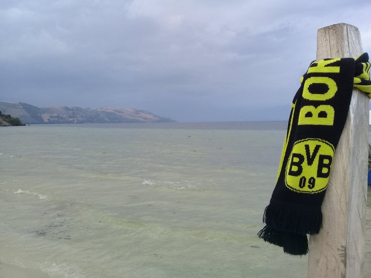 Johnny Großkreutz KOVAC OUT tweet media