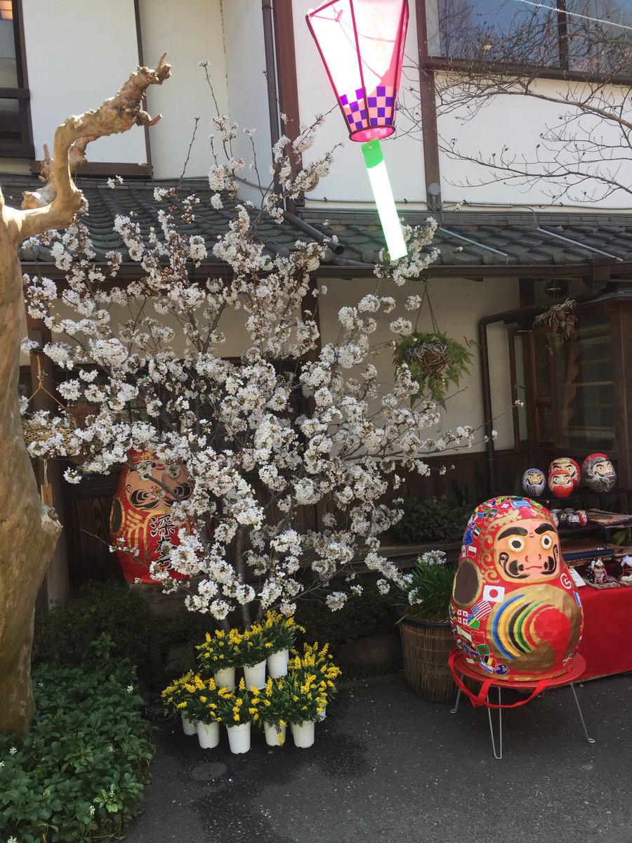 SlowLifeTtokyo's tweet photo. だるまとさくら！ https://t.co/fbXkuAwbCB