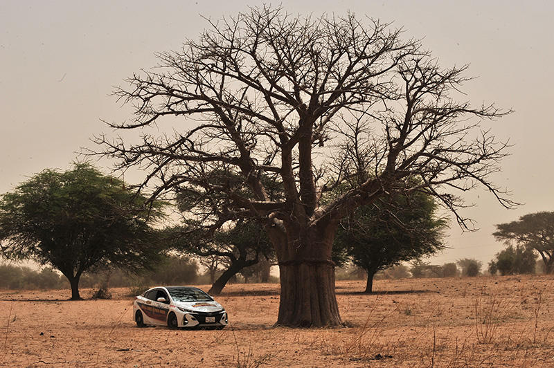 ToyotaMotorCorp's tweet image. One does not have to be a little prince to marvel at the sight of the mighty baobab tree. The #PriusPHV is part of Toyota’s efforts to promote sustainability of the planet in the long run. #TeamACP is getting closer to Dakar. fal.cn/40ot