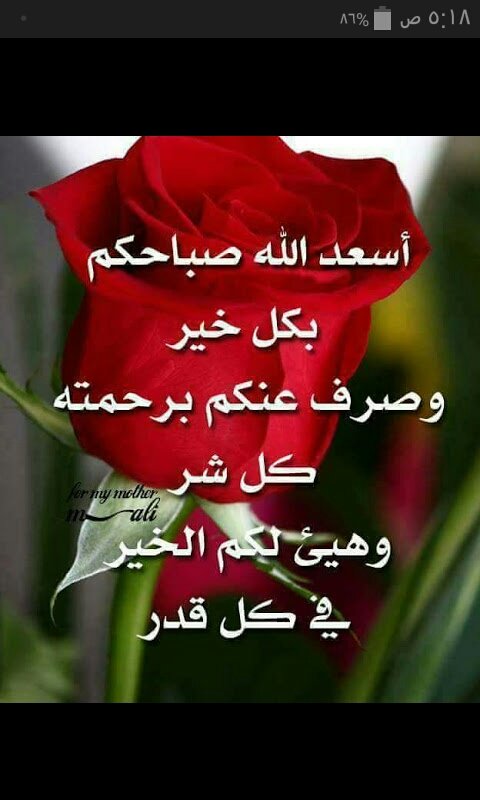 ••🌹••🌹•

ربي إني طرقت بابك
فافتح لي ولأحبتي ابواب سمائك واغمرنا برحمتك واجرنا من عظيم بلائك وسخر لنا الطيبين من عبادك 
إلهي  إلى من أقصدوأنت المقصود 
من ذاالذي يسأل وأنت رب الوجود 
اللهم اقضِ حوائجنا واغفر ذنوبنا وطهر قلوبنا ويسر أمورنا يا الله 
 #اسعد_الله صباحكم_احبتي