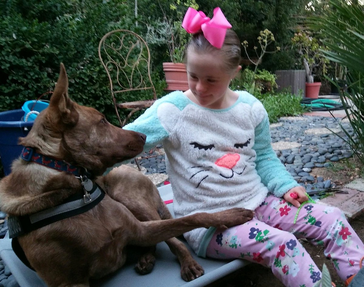 JulienneHansen2's tweet photo. @SeanAdelman @RaiseExpect AMEN MY Sister xoπ
π-SEEUS
π-INCLUDE US
PhD Mumm
#CANCERMummy
#HOUSEOFLOVE
#Homeschool
#HugYourFears
#BRIGHTMINDS
#DONOTLIMITME https://t.co/4LWjnC4Oeo