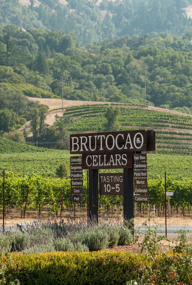 Taste #Mendocino Wines in San Francisco on Sat. April 7, 2018. I love this event... <a href="/TasteOfMendo/">Taste Of Mendocino</a> 
californiafinewineries.com/taste-of-mendo…