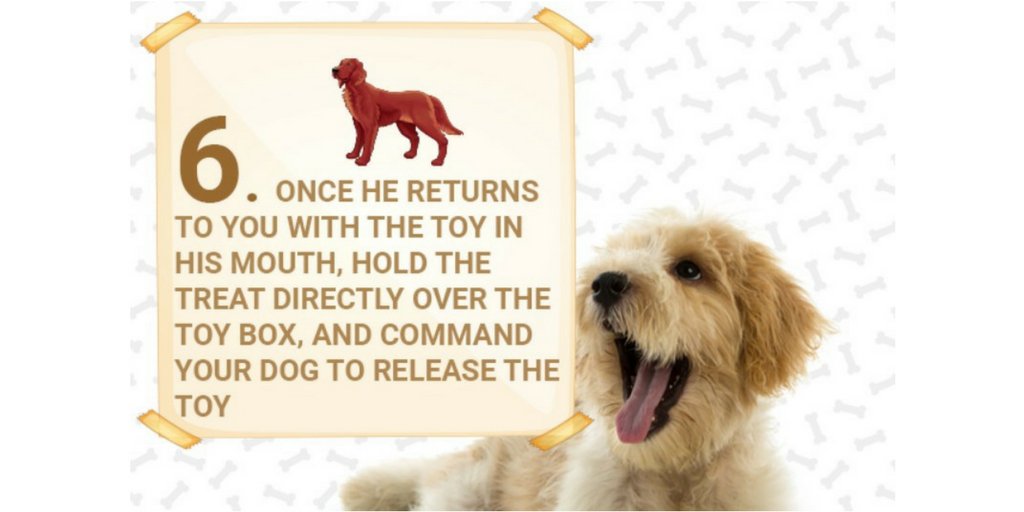 payrollsainttt's tweet image. Tricks to get the toy in the basket.
#dogfetch #ballthrower #balllayncher #launcher #dogplay #doggystyle #puppy #dogstraining