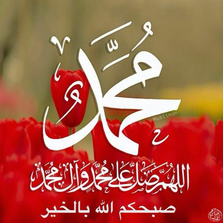 "يا من بحثت عن العطور جميلها
ليكون عطرك في الأنام نسيـما
هل لي بأن أهديك عطرا فاخرا
وهو الدواء إذا غـدوت سقيـما
هــذا كــلام الله في قرآنـــه
صلـوا عليـه وسلمـوا تسليمــا"
اللهم صل ع محمد وال محمد