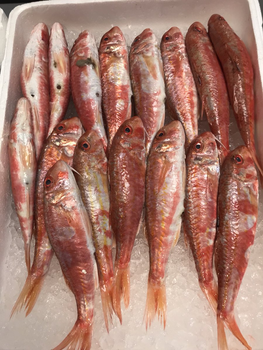 We have Snappers, Parrot fish &amp; fresh Red Mullet available this week, limited stock, so come &amp; get it... #BeckBromFL #eatmorefish #Bromley