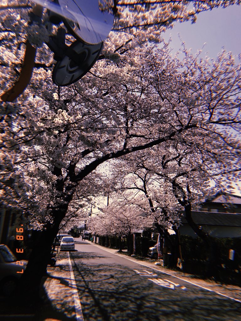 Ohenry1220's tweet photo. 今年はHUJIつかってワイのまちの良さ伝えんで、
相変わらずええ景色 https://t.co/oEgqjZr2rr