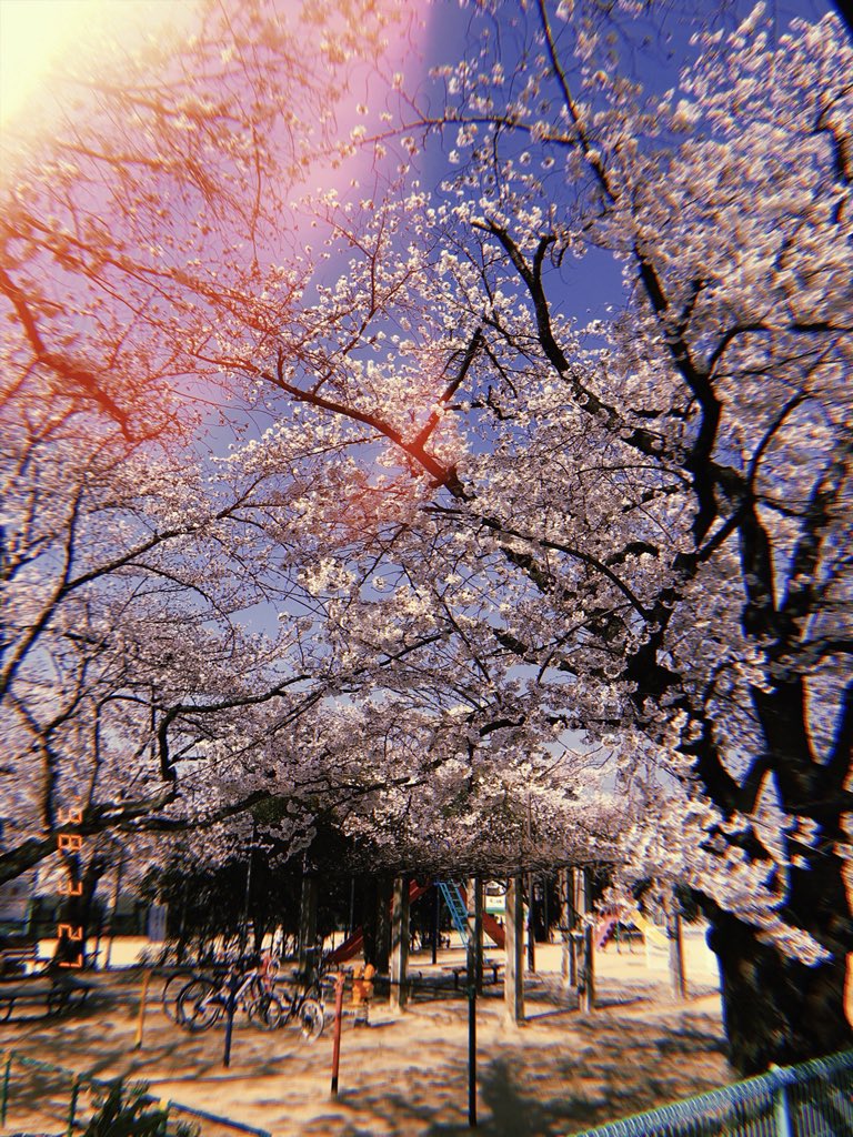 Ohenry1220's tweet photo. 今年はHUJIつかってワイのまちの良さ伝えんで、
相変わらずええ景色 https://t.co/oEgqjZr2rr